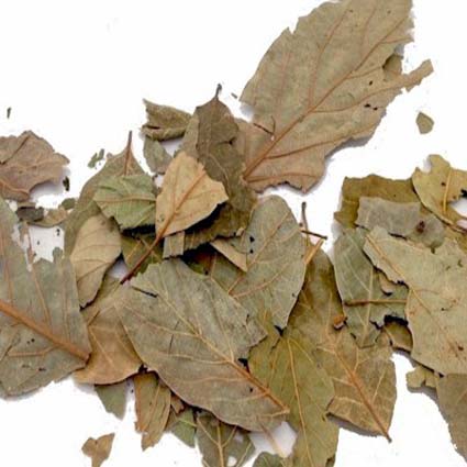 asır hekim avakado yaprağı 24gr