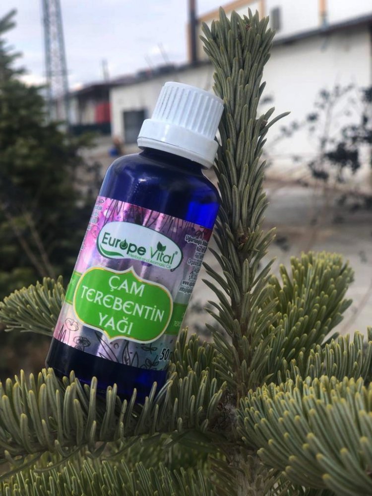 europe vital çam terebentin yağı 50 Ml