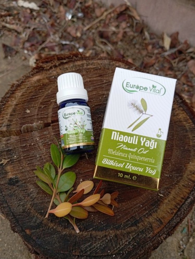europe vital niaouli yağı 10 Ml