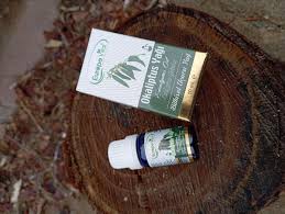 europe vital okaliptus yağı 10 Ml