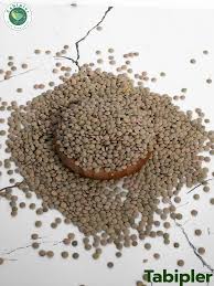 cizre asır yeşil mercimek 1kg